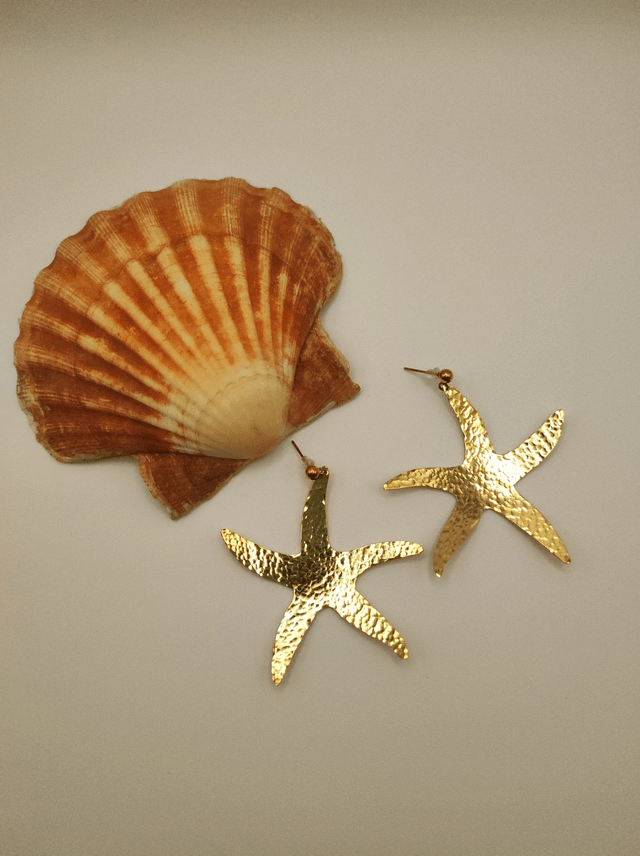 Etoiles de mer