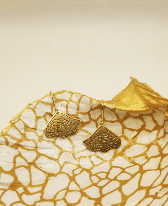 Coquillages